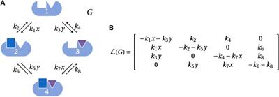 The linear framework II: using graph theory to analyse the transient regime of Markov processes